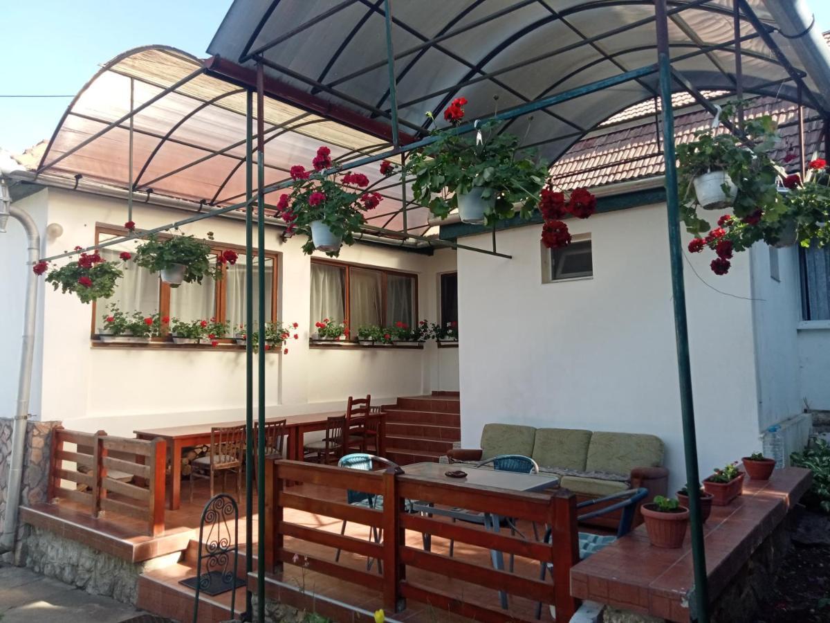 Elza Guesthouse Rimetea Exterior photo