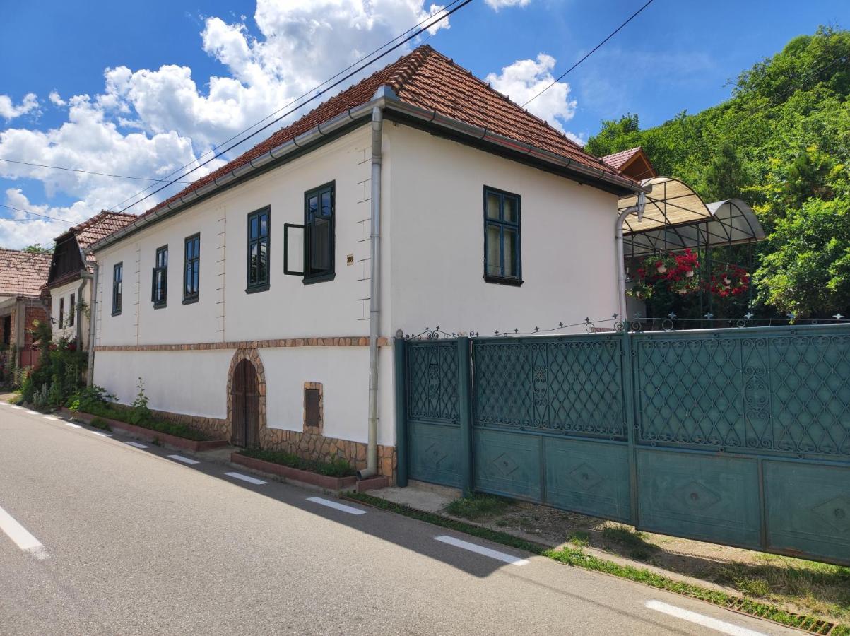 Elza Guesthouse Rimetea Exterior photo